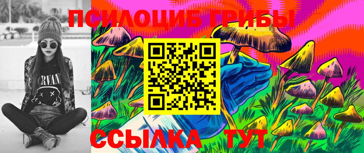 Псилоцибиновые грибы Psilocybe  Вход с VPN  Боровичи 